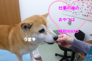 ブログ1
