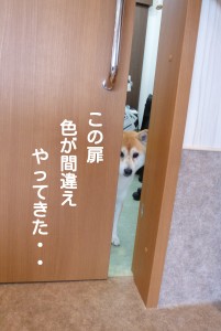 ブログ用5