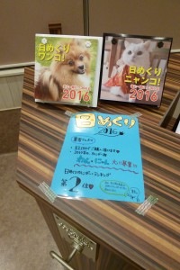 P1030508