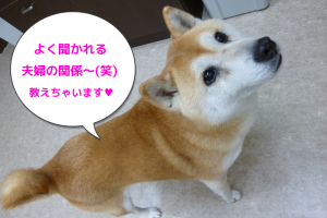 ブログ用19