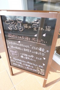 P1040900