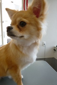 P1050211