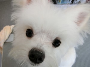 CIMG0788