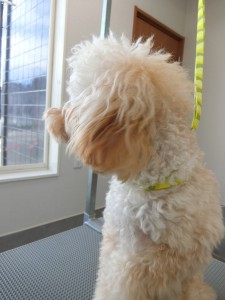cimg2058