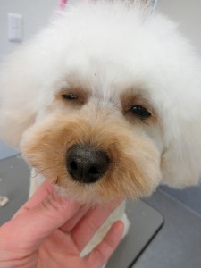 CIMG5107