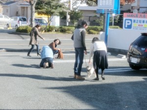 CIMG9565