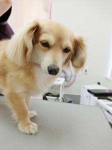 CIMG5813