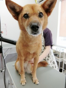 CIMG6265