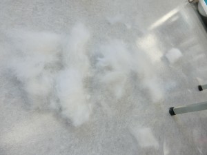 CIMG1053