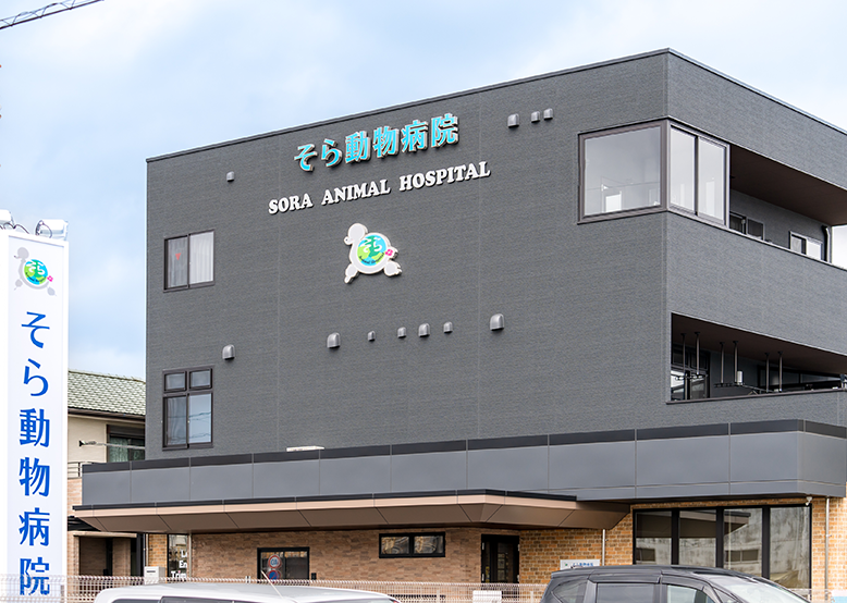 そら動物病院外観